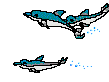 Preloader